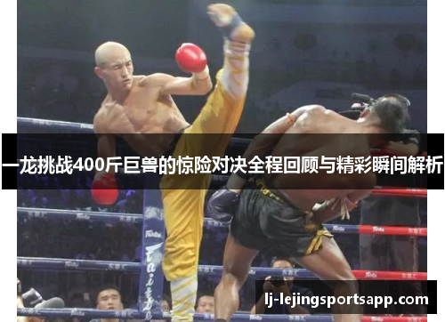 一龙挑战400斤巨兽的惊险对决全程回顾与精彩瞬间解析